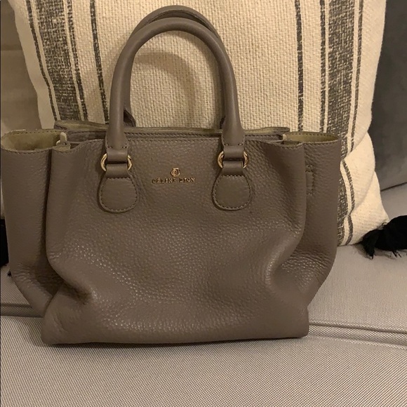 Celine Handbags - Celine Dion